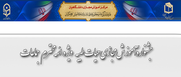 جشنواره­ آموزش مجازی حیات طیبه:  ویژه ائمه محترم جماعات