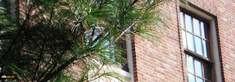 نمایی از ساختمان سازمان مرکزی دانشگاه فرهنگیان
