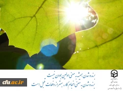 بهداشت روان