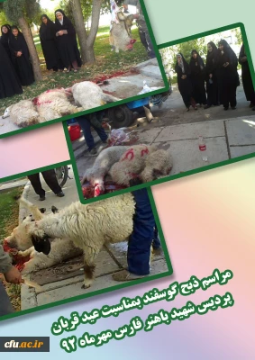 به مناسبت دهه ی مبارک ولایت انجام شد:

اقدام جمعی معنوی، با مشارکت استادان، همکاران و دانشجویان پردیس شهید باهنر فارس