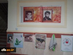 نمایشگاه عکس