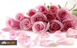 حلول ماه ربیع الاول مبارک باد 2