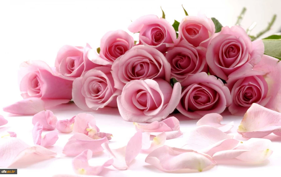 حلول ماه ربیع الاول مبارک باد 2