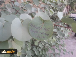 اعلام نتایج مسابقه دانشجویی خوابگاه من 4