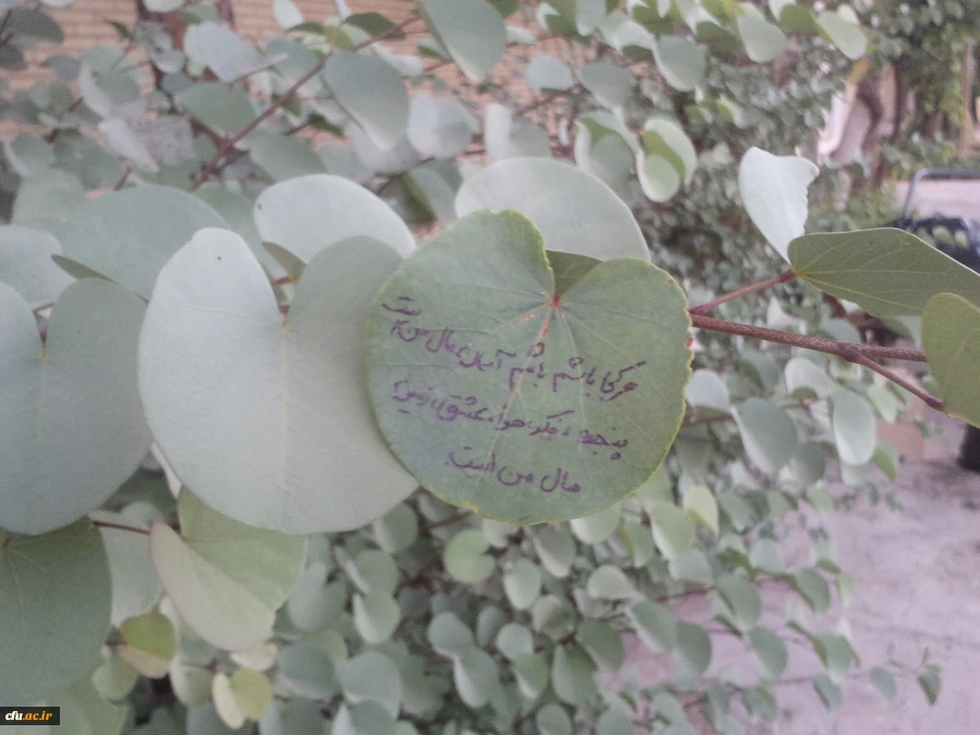 اعلام نتایج مسابقه دانشجویی خوابگاه من 4