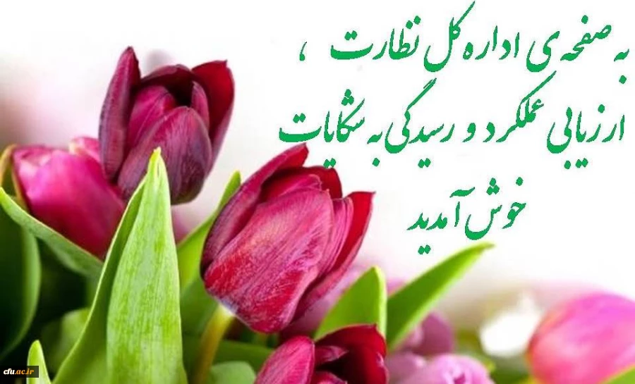 دریافت نظرات و پیشنهادات 2