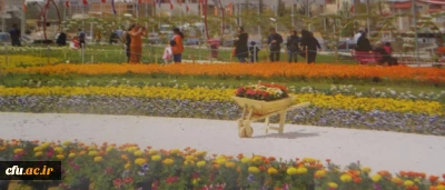 برگزاری نمایشگاه عکس 