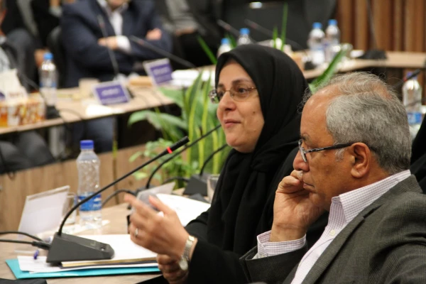 Dr. Golnar Mehran and Dr. Kiamanesh in Expert Meeting on Promoting the Quality of Teaching and Learning With Emphasis on the Role of Teachers