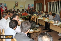 جشنواره فرهنگی و هنری