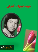 دانشجوی شهید ذبیح ا... آهران