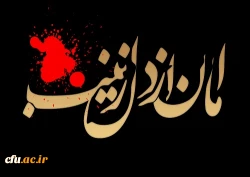 کربلا در کربلا می ماند اگر زینب نبود.....