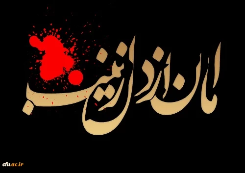 کربلا در کربلا می ماند اگر زینب نبود.....