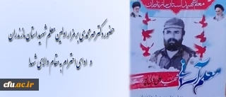 دکتر مهر محمدی با حضور بر مزار اولین معلم شهید استان مازندران به مقام شامخ شهدا ادای احترام کرد