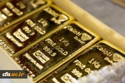 dqededfwfrefrefrefr 12