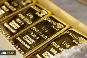 dqededfwfrefrefrefr 12