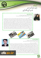 خبرنامه اولین دوره بالندگی مشاوران