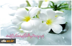 بازدید سرپرست محترم دانشگاه فرهنگیان از اداره کل پشتیبانی و رفاه 2