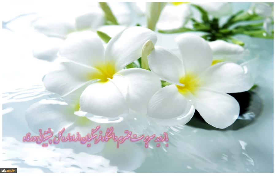 بازدید سرپرست محترم دانشگاه فرهنگیان از اداره کل پشتیبانی و رفاه 2