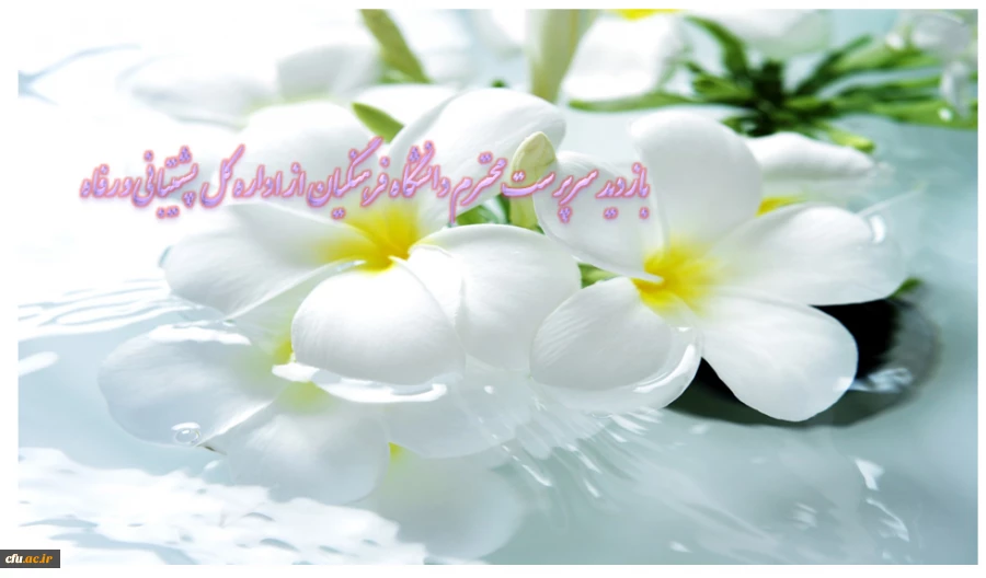 بازدید سرپرست محترم دانشگاه فرهنگیان از اداره کل پشتیبانی و رفاه 2