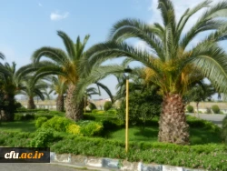 بازدید مدیرکل پشتیبانی و رفاه و معاون اداره کل از مراکز امام علی (ع) بابلسر و شهید مطهری نوشهر 2