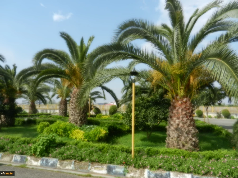 بازدید مدیرکل پشتیبانی و رفاه و معاون اداره کل از مراکز امام علی (ع) بابلسر و شهید مطهری نوشهر 2