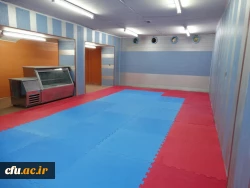 تغییر کاربری دو فضای بلا استفاده به سالن ورزشی

 در پردیس شهید مدرس کردستان 7