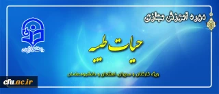 طرح معرفتی حیات طیبه مجازی آغاز شد