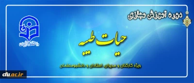 طرح معرفتی حیات طیبه مجازی آغاز شد