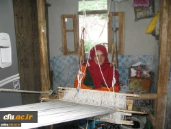 مدیرکل اجتماعی سازمان مرکزی دانشگاه فرهنگیان:

طرح ملی ایرانشناسی؛ فرصت مناسبی برای شناسایی هویت ملی و دینی کشور 12