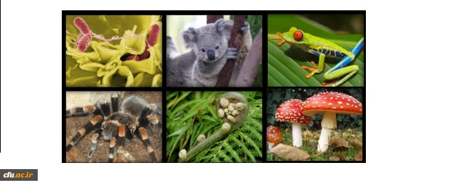 اطلاعیه ثبت نام کارگاه آموزش علوم( مدرسه تابستانی) 2