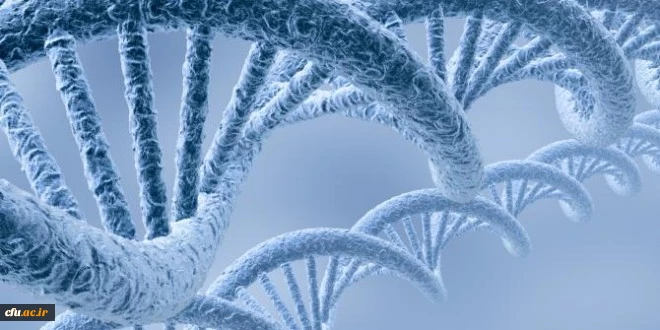 اطلاعیه ثبت نام کارگاه آموزش علوم( مدرسه تابستانی) 2