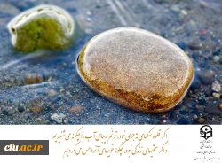 بهداشت روان