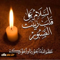 سلام علی قلب زینب الصبور 2