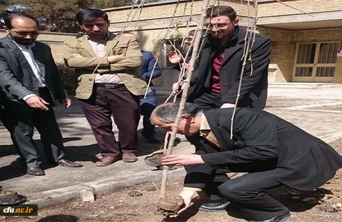 غرس نهال در پردیس شهید باهنر اصفهان