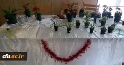 بازارچه خیریه پردیس الزهرا(س) زنجان