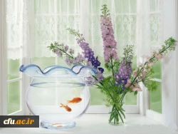 در ادامه بازدید های دوره ای از پردیس ها و مراکز سراسر کشور انجام شد

بازدید از پردیس ها و مراکز استان ایلام 2