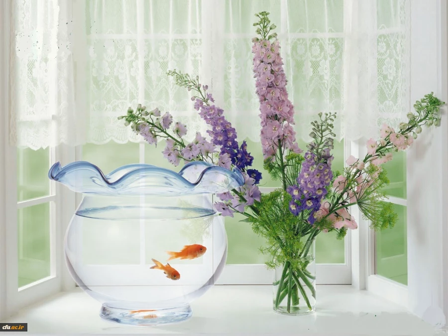 در ادامه بازدید های دوره ای از پردیس ها و مراکز سراسر کشور انجام شد

بازدید از پردیس ها و مراکز استان ایلام 2