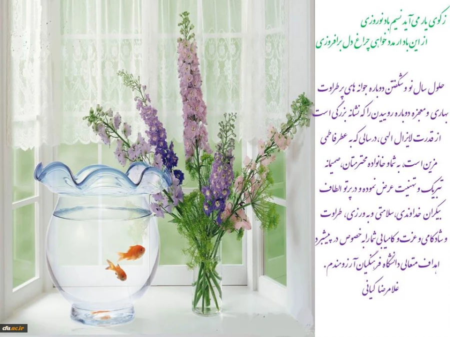 در ادامه بازدید های دوره ای از پردیس ها و مراکز سراسر کشور انجام شد

بازدید از پردیس ها و مراکز استان ایلام 2