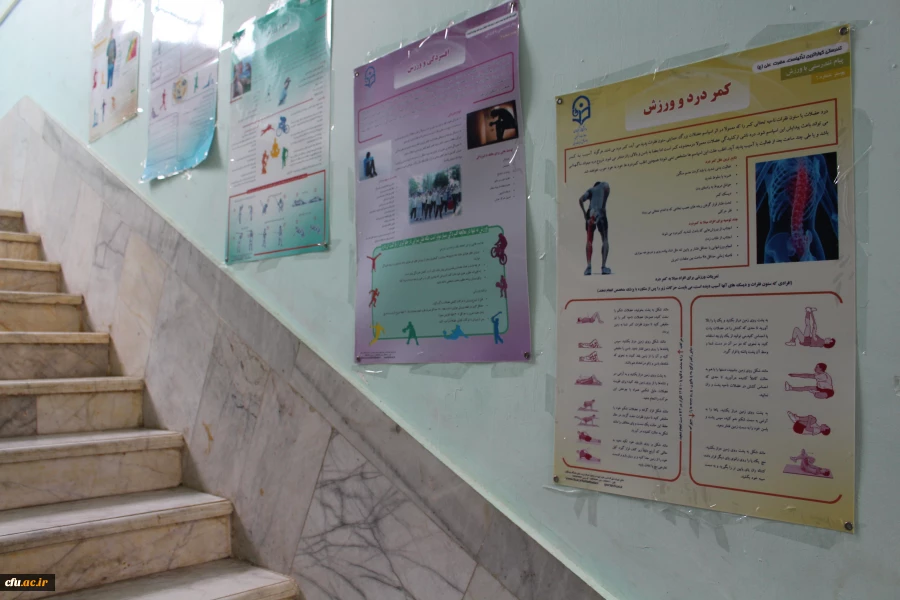 بازدید مدیرکل تربیت بدنی از پردیس های استان بوشهر 10