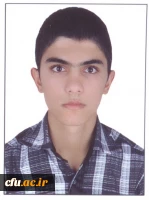 مصطفی آزادمنش.شهیدبهشتی مشهد.رتبه3راهنمایی و مشاوره