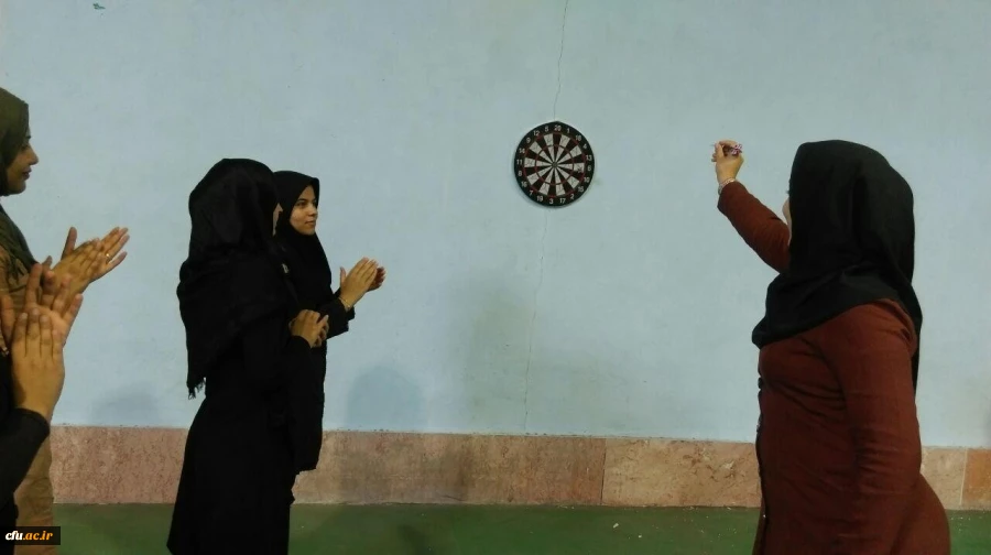 جشنواره استانی ورزش های همگانی و بازی های بومی و محلی در استان خراسان شمالی برگزار شد 5