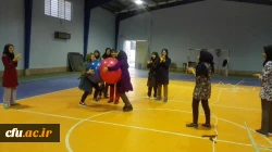 جشنواره استانی ورزش های همگانی و بازی های بومی و محلی در استان خراسان شمالی برگزار شد 6