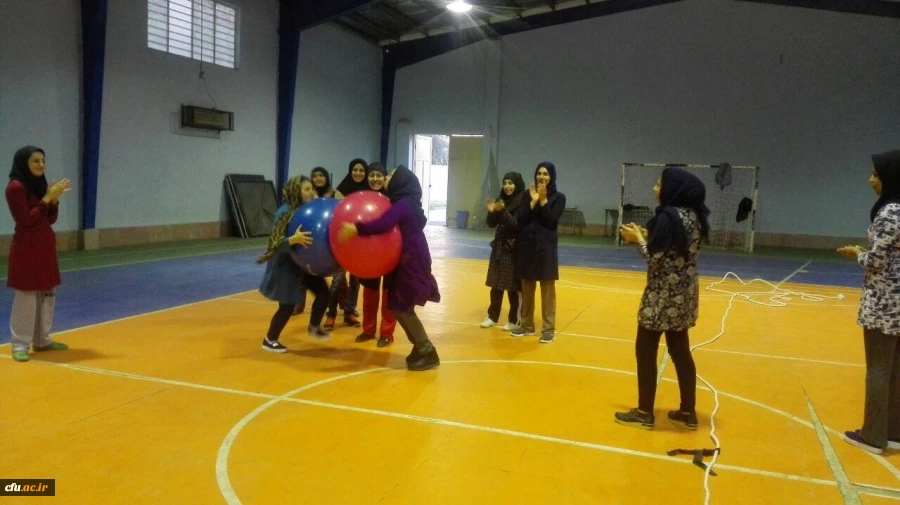 جشنواره استانی ورزش های همگانی و بازی های بومی و محلی در استان خراسان شمالی برگزار شد 6