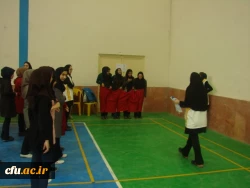 جشنواره استانی ورزش های همگانی و بازی های بومی و محلی در استان خراسان شمالی برگزار شد 3