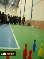 جشنواره استانی ورزش های همگانی و بازی های بومی و محلی در استان خراسان شمالی برگزار شد 5