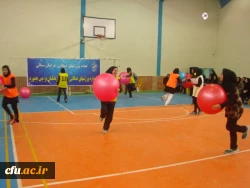 جشنواره استانی ورزش های همگانی و بازی های بومی و محلی در استان خراسان شمالی برگزار شد 6