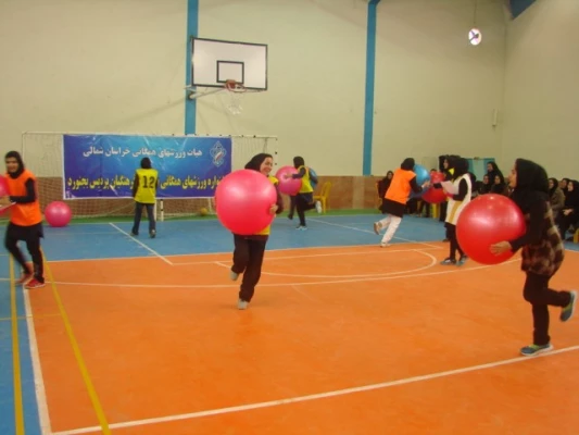 جشنواره استانی ورزش های همگانی و بازی های بومی و محلی در استان خراسان شمالی برگزار شد 6