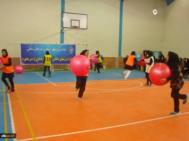 جشنواره استانی ورزش های همگانی و بازی های بومی و محلی در استان خراسان شمالی برگزار شد 6