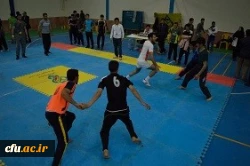 جشنواره استانی ورزش های همگانی و بازی های بومی و محلی در استان خراسان شمالی برگزار شد 8