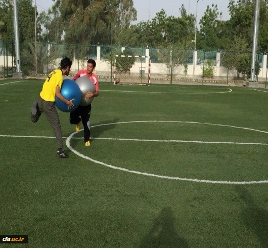 جشنواره استانی ورزش های همگانی و بازی های بومی و محلی در استان هرمزگان برگزار شد 6